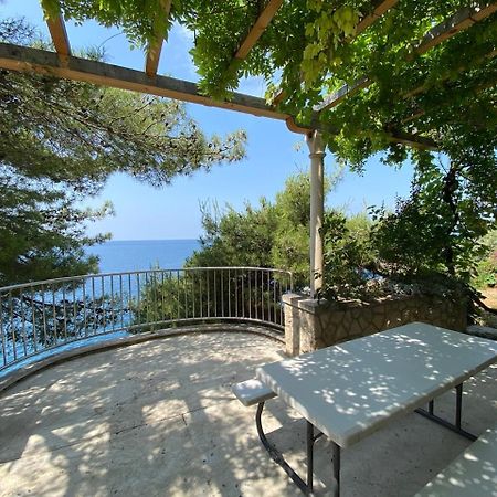 Charming Seafront Stay At Villa Mara Ντουμπρόβνικ Εξωτερικό φωτογραφία