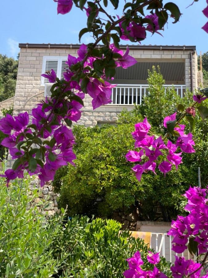 Charming Seafront Stay At Villa Mara Ντουμπρόβνικ Εξωτερικό φωτογραφία